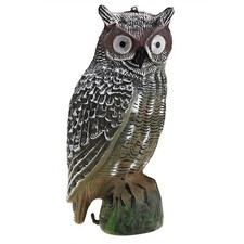 Solar powered owl - powered, hunting