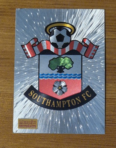 Southampton badge merlin - southampton,