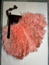 Two Rare Ostrich Feather Fans