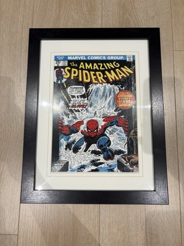The amazing spiderman comic - the,