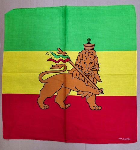 Lion judah rasta - lion, of
