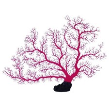 RA Sea Fan Coral - Pink