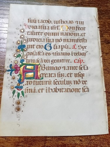 VELLUM LEAF BOOKS OF HOURS