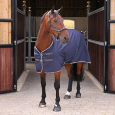 Shires Tempest Original Horse