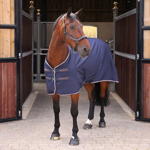 Shires tempest original horse - shires,