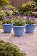Set wild meadow recycled - set, of
