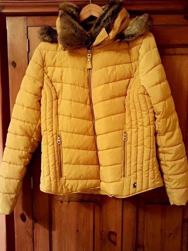 Joules women yellow - joules, women's