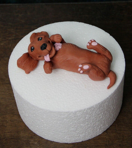 Dachshund sausage dog - sausage,