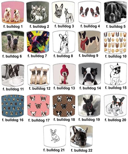 French bulldog lampshade - french,