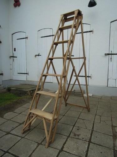 Library ladder book staircase - library,