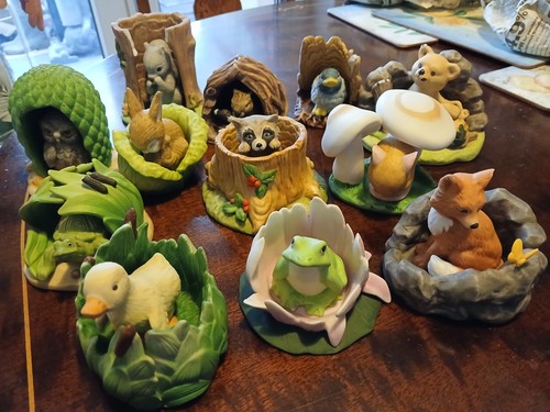 Woodland surprises franklin - surprises, by