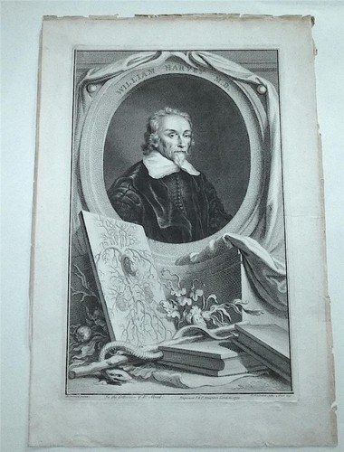 William harvey georgian - william,