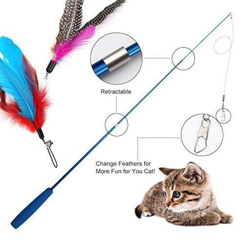 Teaser wand cat - wand, interactive