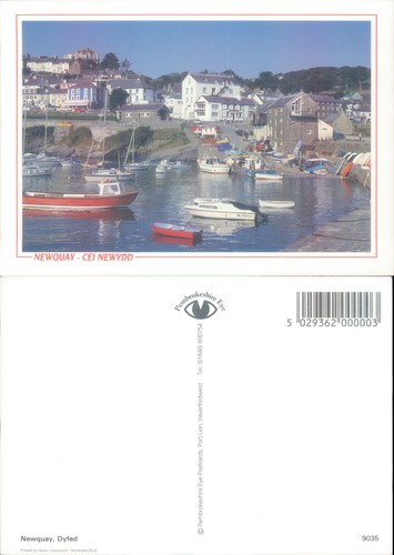 Harbor with boats newquay - boats,
