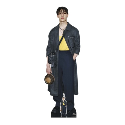 Bang chan lifesize cardboard - chan,