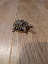 Wade figurine tortoise turtle