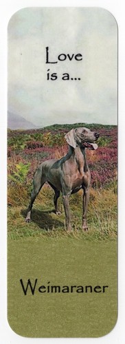 Weimaraner dog bookmark same - dog,