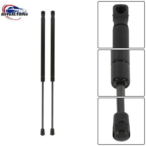 2pcs gas tailgate - gas, boot