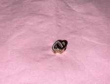Pandora Charm Rose Gold Linked