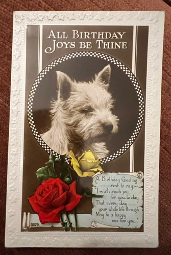 Antique postcard dog - , westie