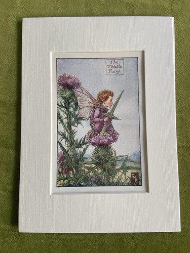 Thistle flower fairy - ‘thistle’,