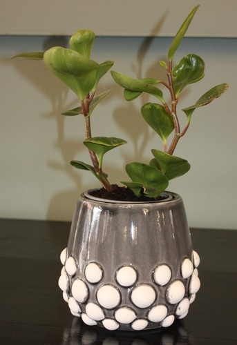 Dark blue grey bobbly ceramic - blue/grey,