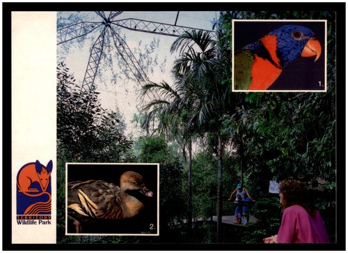 Postcard territory wildlife - postcard,