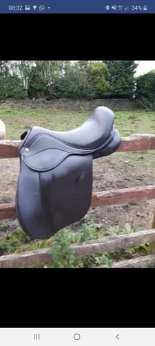 Saddle company - , 16.5 