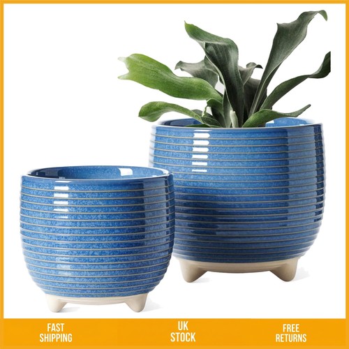 Elegant reactive glaze ceramic - elegant,