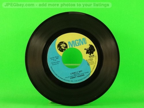 Osmond donny lonely - osmond,donny, boy