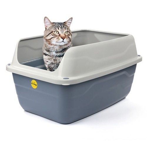 Jumbo open cat - jumbo,