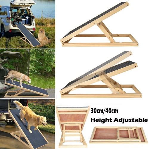Dog ramp pet puppy - dog,