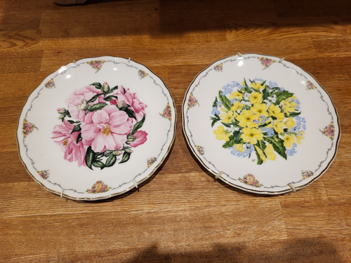 Royal albert camellia - albert,