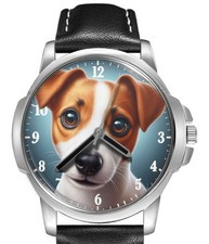 Jack Russel Terrier Cute Dog