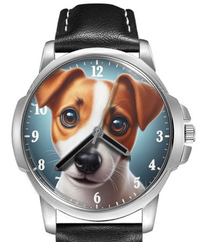 Jack russel terrier - russel,