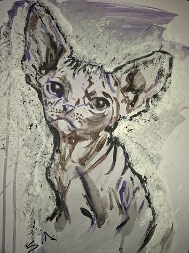 Contemporary sphynx cat - contemporary,