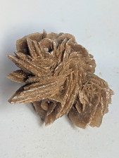Desert rose selenite large - ,