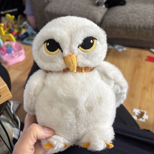 Harry potter hedwig the - hedwig,