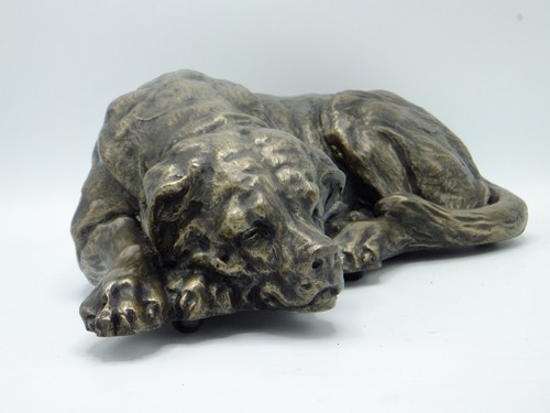 Staffordshire bull terrier pet - bull,