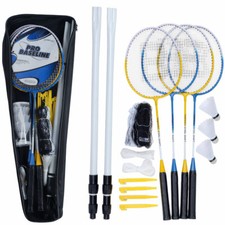 Professional Badminton 4