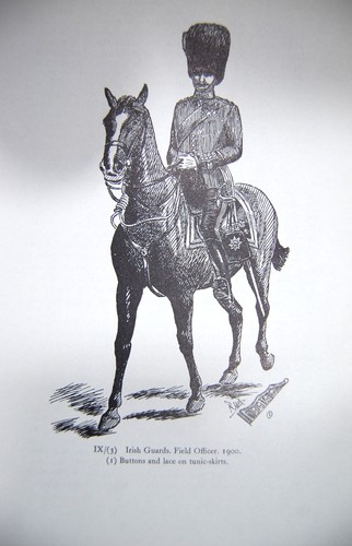 1900 irish guards field - irish,