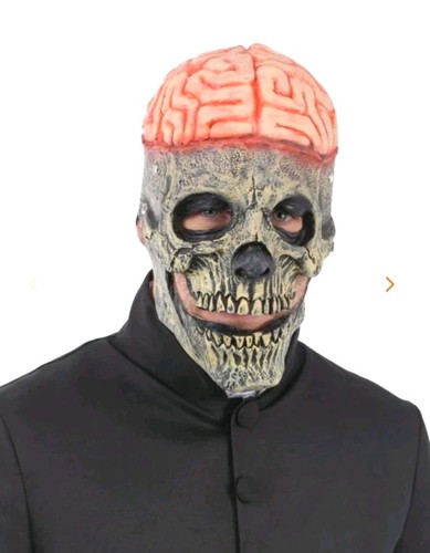 Exposed brain skull - exposed,