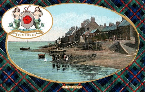 Montrose murray tartan - montrose,