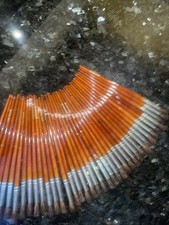 39 New Paint Brushes All No 6 Made In England Identical School Painting Class