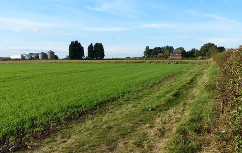 Photo 6x4 farmland - farmland, near
