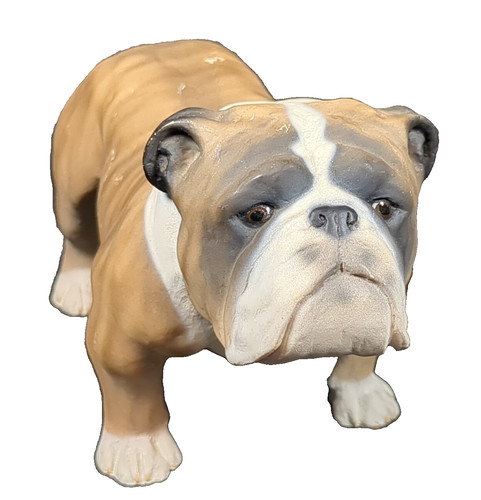 North light british bulldog - light,