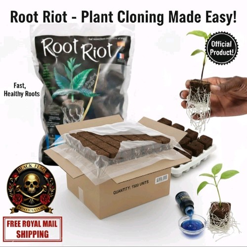 Root riot propagation - root, cubes