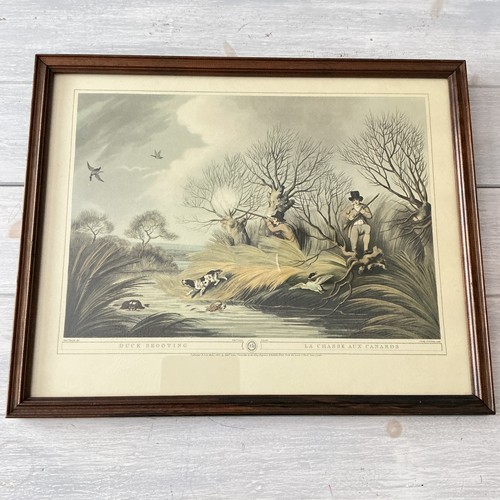 Antique engraving samuel - antique,
