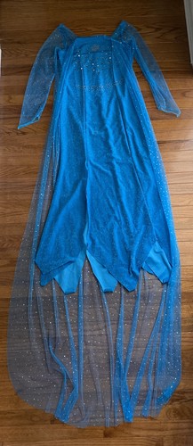 Elsa ice princess frozen adult - princess,