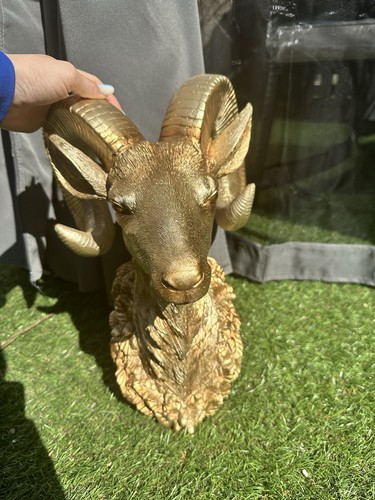 Gold ram head sculpture - ram,